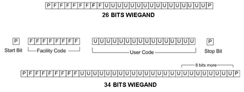 WIEGAND02